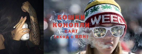 тгк Богданович